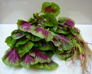 Kandungan Gizi Dalam Seporsi Sayur Bening Si Kecil