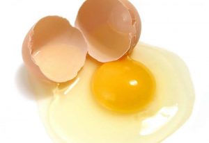 Manfaat Telur Untuk Wanita Hamil